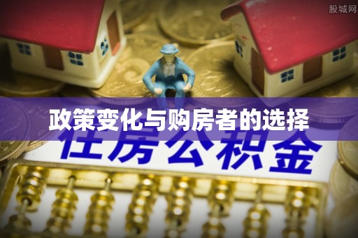 芒市政策变化与购房者的选择