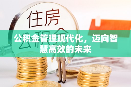 芒市公积金管理现代化，迈向智慧高效的未来