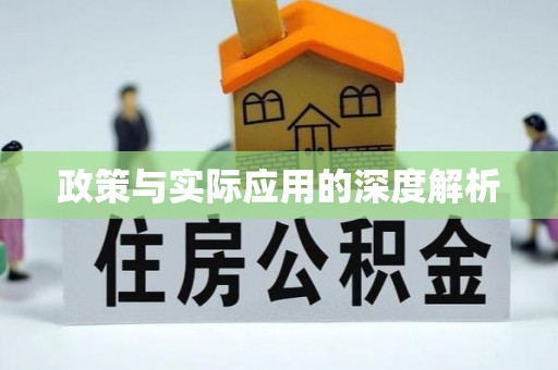 芒市政策与实际应用的深度解析