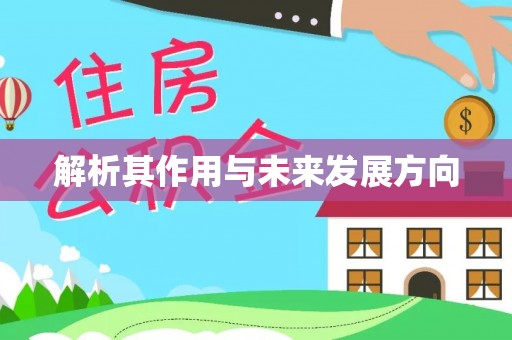 芒市解析其作用与未来发展方向