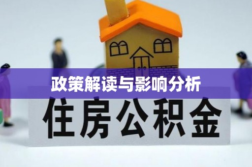 芒市政策解读与影响分析